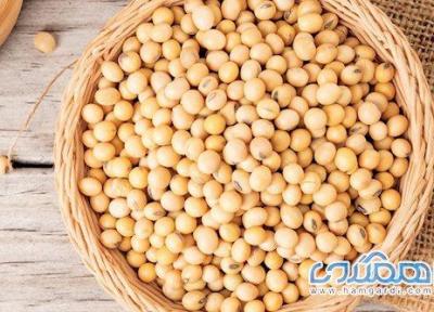 با خوردن سویا، بیشتر عمر کنید با خوردن سویا، بیشتر عمر کنید